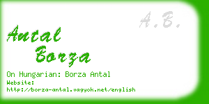 antal borza business card